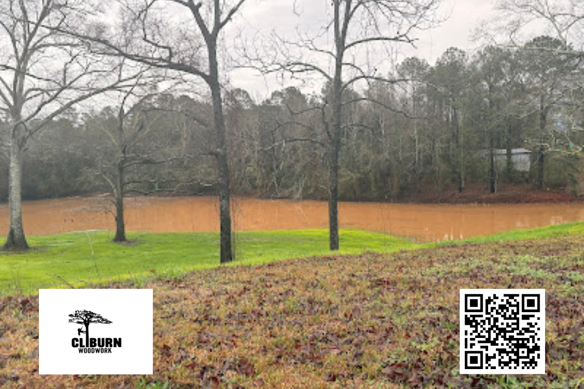 local tree service brookhaven, ms
